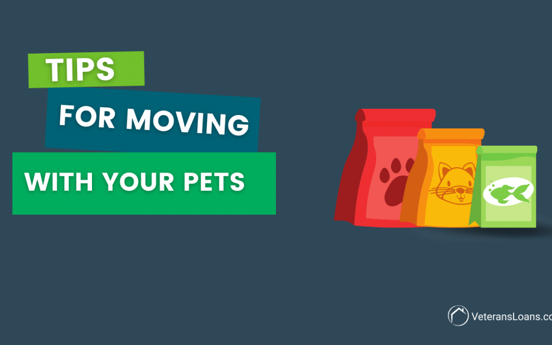 Tips & Tricks When Moving With a Pet