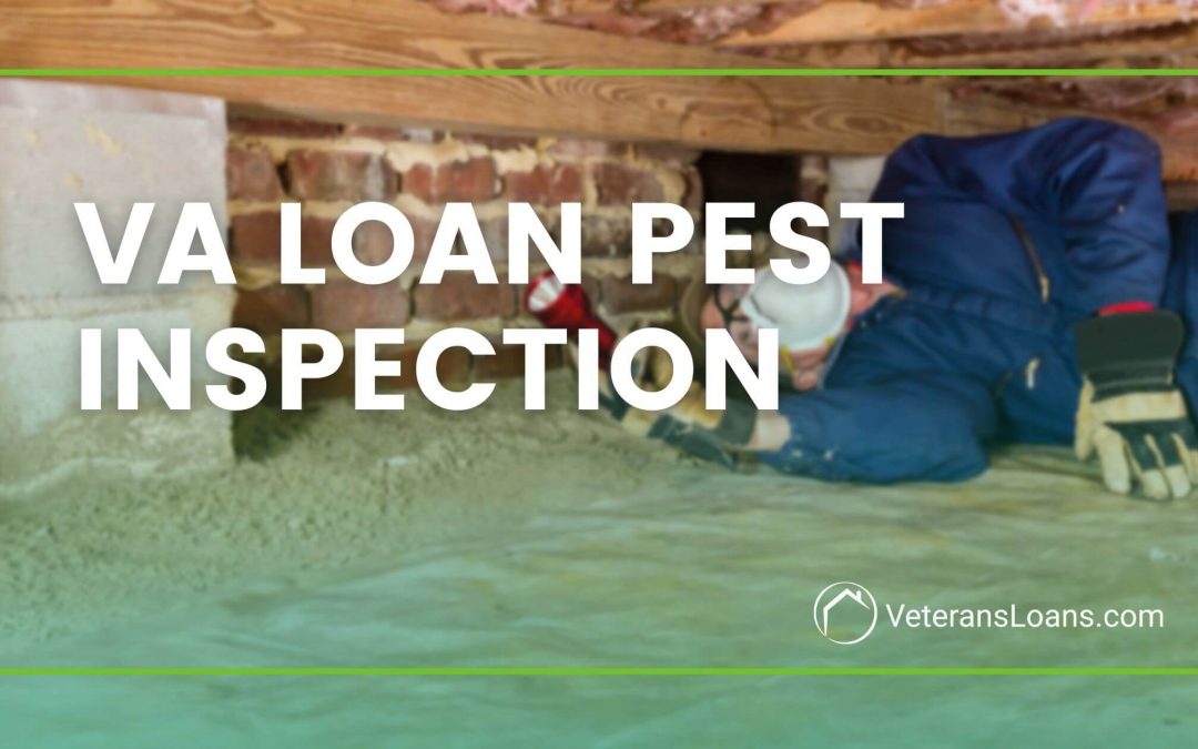 VA Loan Pest Inspection Requirements