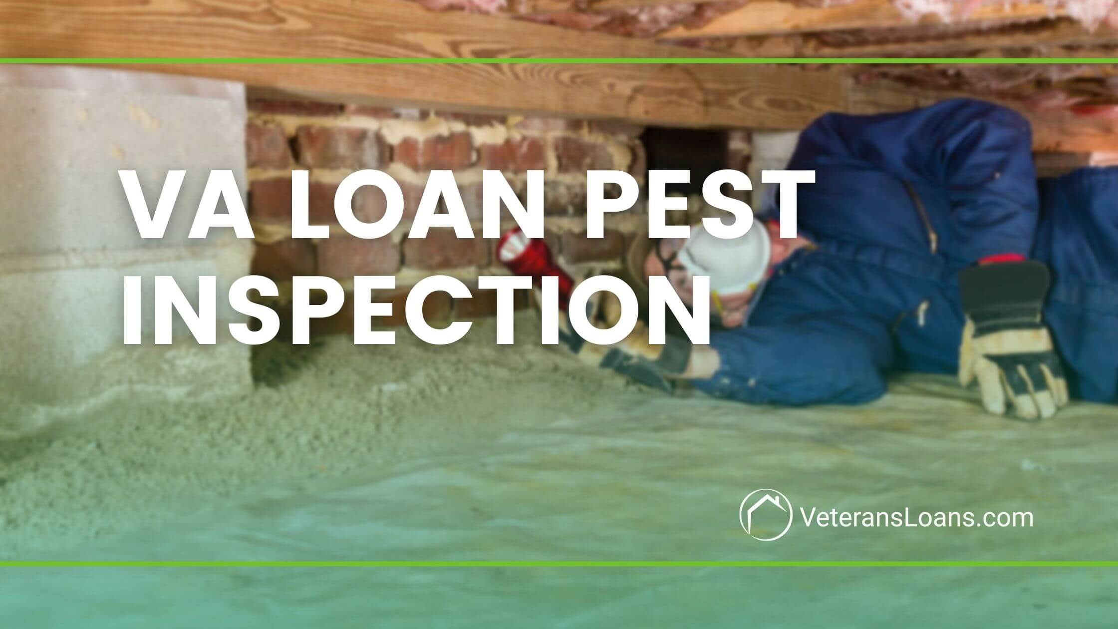VA Loan Pest Inspection Requirements Blog