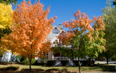 Beyond the Leaves: Why Fall Maintenance is Crucial for Protecting Your Home Equity
